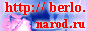 88x31